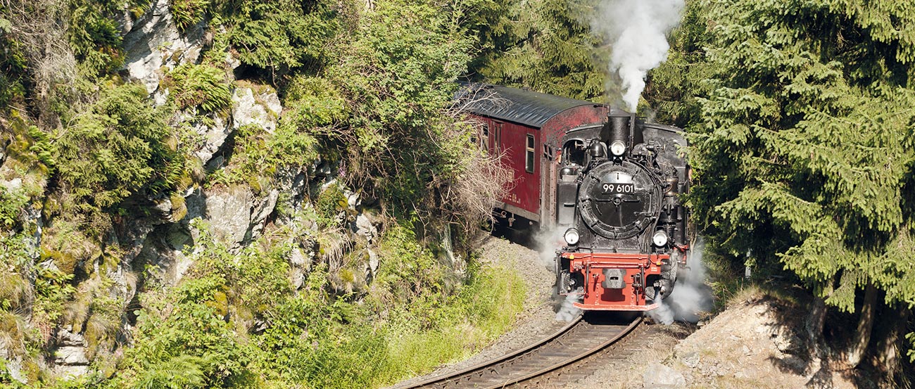 Historische Dampflokomotive der Harzer Schmalspurbahn auf bergiger Strecke zwischen Felsen und grünen Nadelbäumen