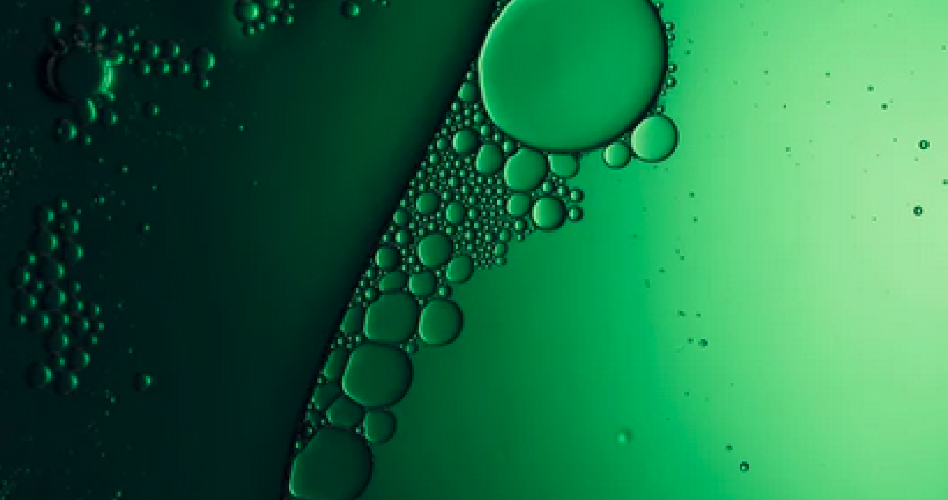 Close-up of green liquid